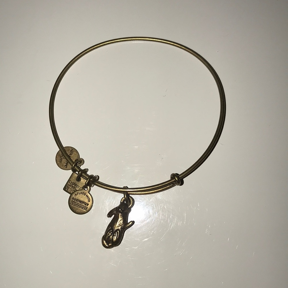 Alex and Ani bracelet!